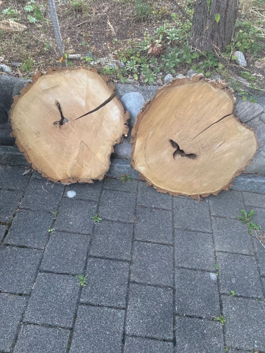 Articoli in legno: Rundbretter – Usato da möhlin venduto da platzsimo 1