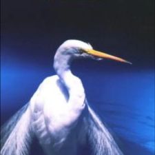 Profile image of LustForLive