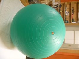 Physiotherapieball