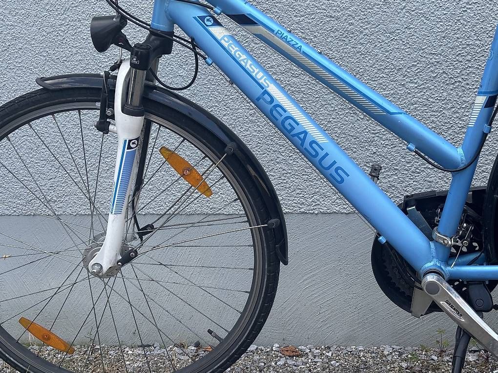 Biciclette: Velo Pegasus Piazza Damen – Usato da Rüti ZH venduto da heuhaufen 1