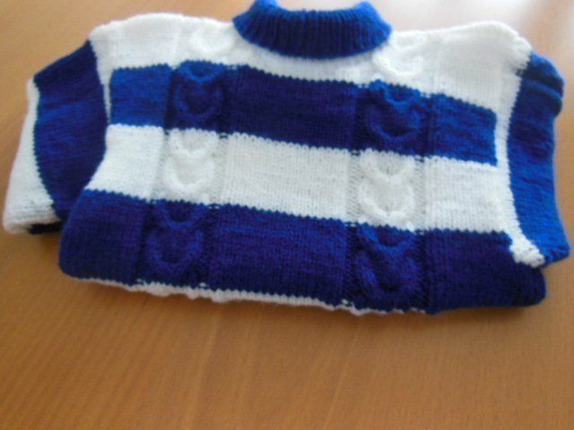 Maglioni & Felpe: Kinderpullover gr. 122 – Nuovo (secondo la descrizione) da Passugg venduto da alboschetto 2