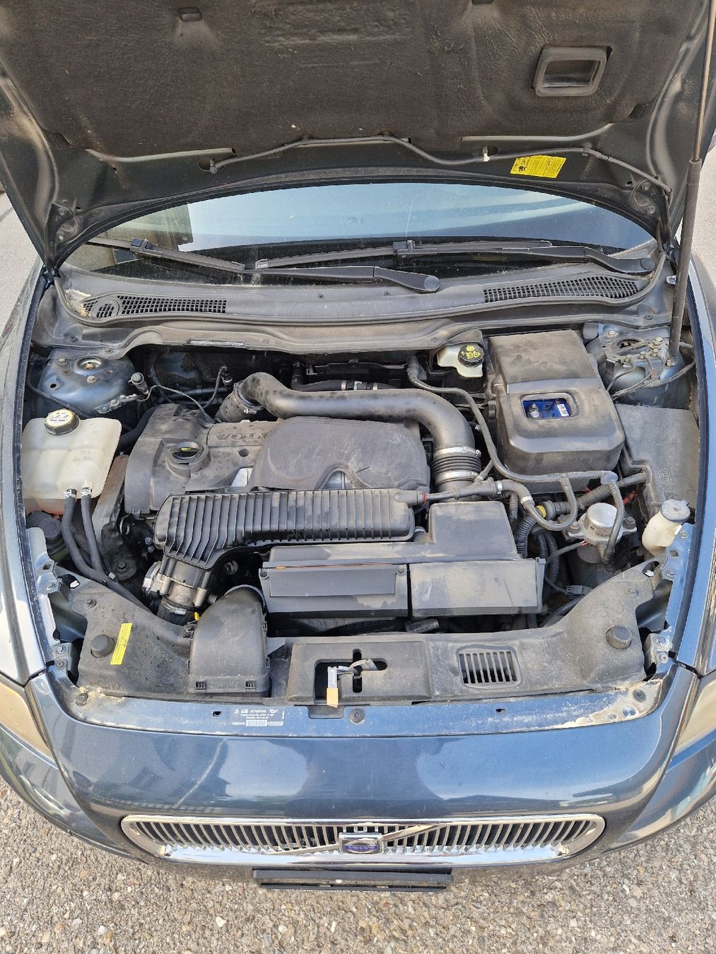 Volvo Automobili: Volvo V50 T5 AWD – Usato da Brunnadern venduto da Landolt66 4