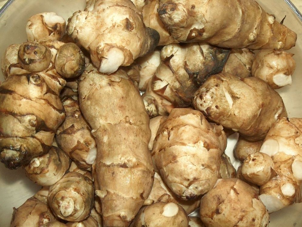TOPINAMBUR - Gemüse - ideal für Diabetiker - bio fein gesund | Kaufen ...