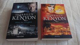 Sherrilyn Kenyon, Dark Hunter Reihe, Band 13 und 14