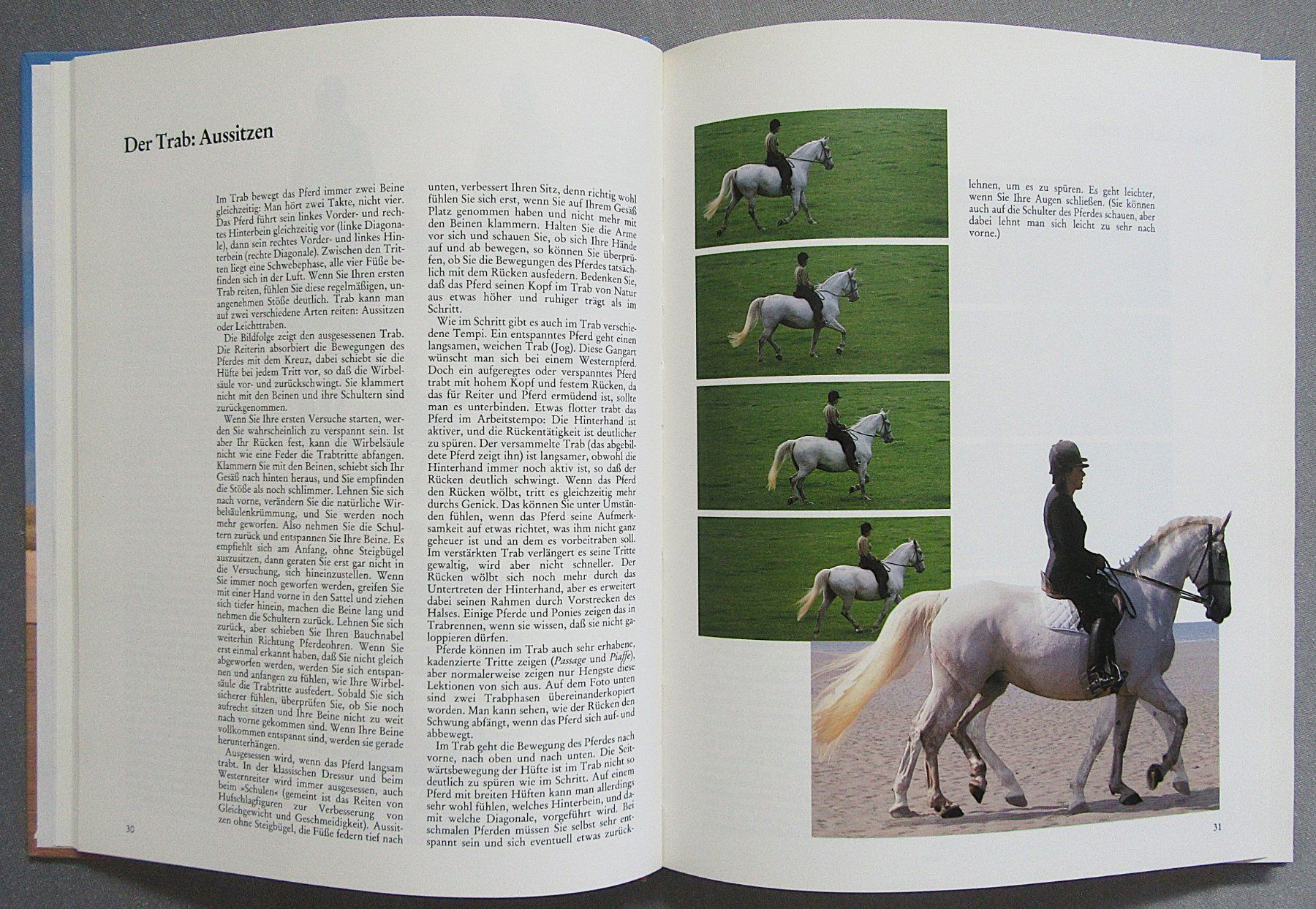 Libri: Reiten - perfekt gelernt - moderne Reitlehre – Usato da Auenstein venduto da Padabimbim 3