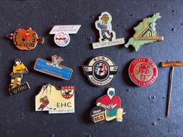 Pins Eishockey