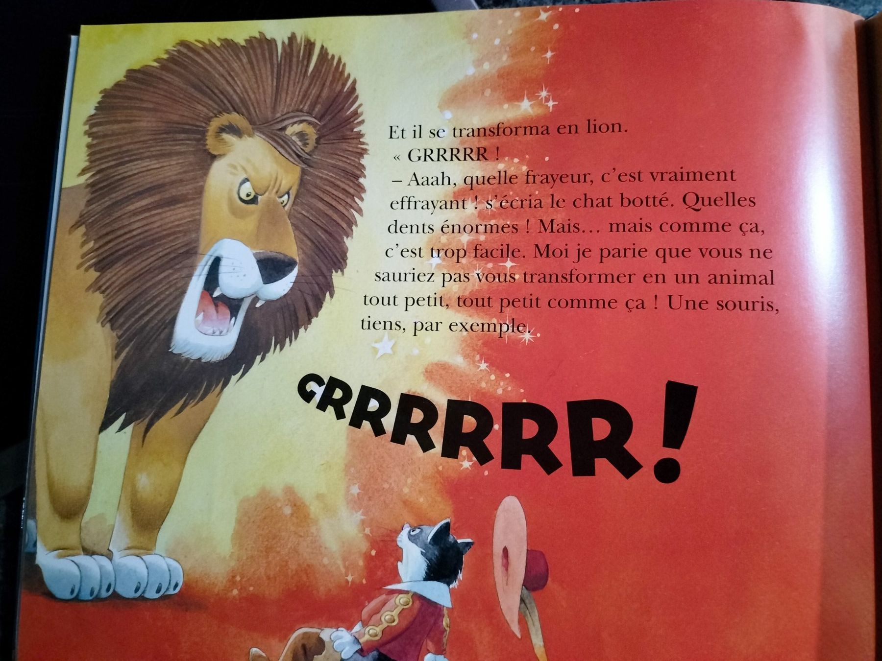 Libri: Le Chat Botté Tony Wolf, Anna Casalis – Usato da Cortaillod venduto da rozinna 4