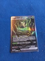Chongjian/Wo-Chien EX Special Illustration Rare (FR) PAL 257