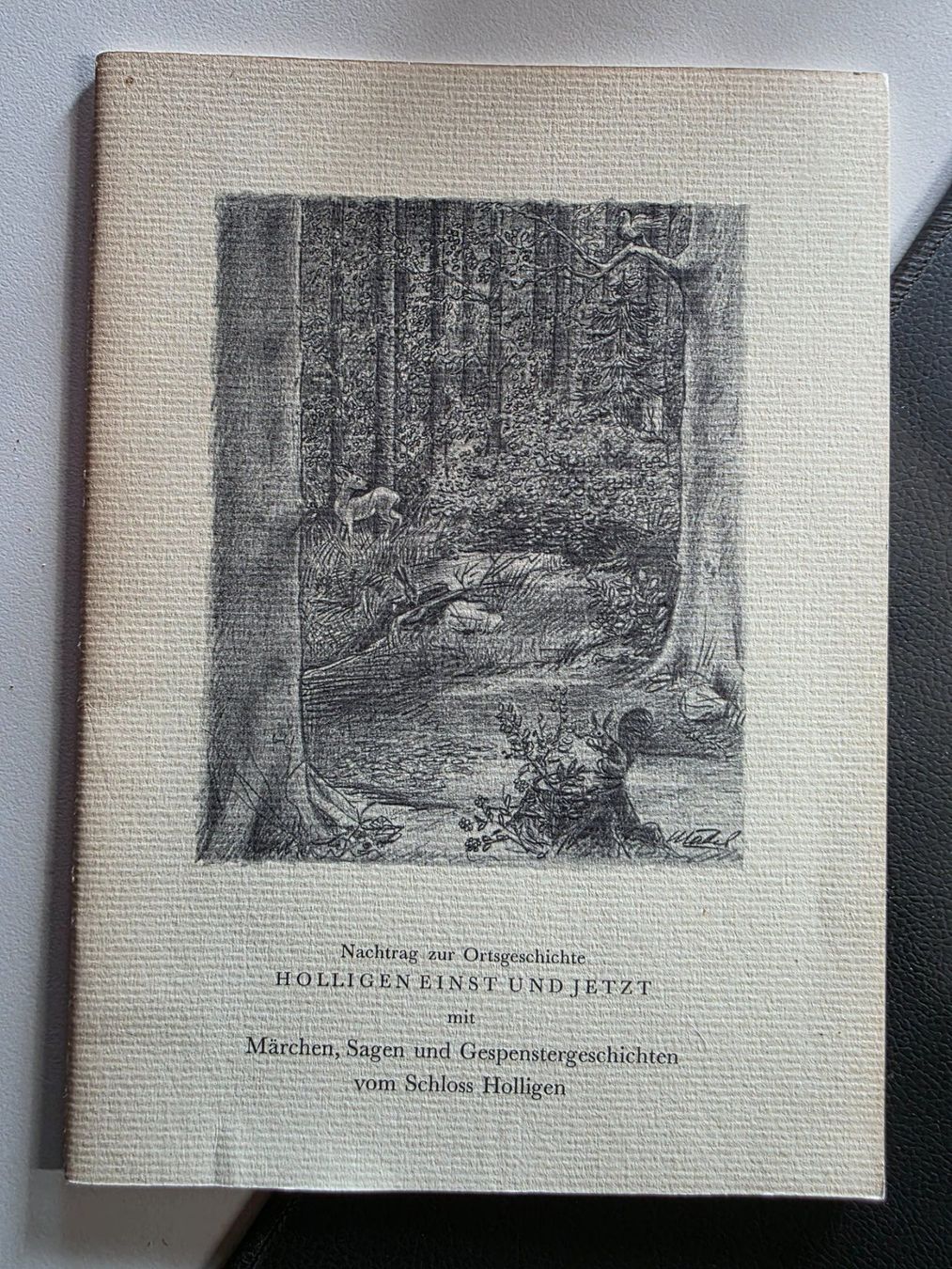 Bücher: Holligen einst und jetzt - Bern-Holligen 1963 – Gebraucht aus Walterswil BE von Lonitti