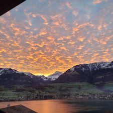 Profile image of Ruedi88