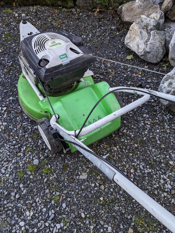 Rasenmäher Viking 3Rad Kaufen auf Ricardo