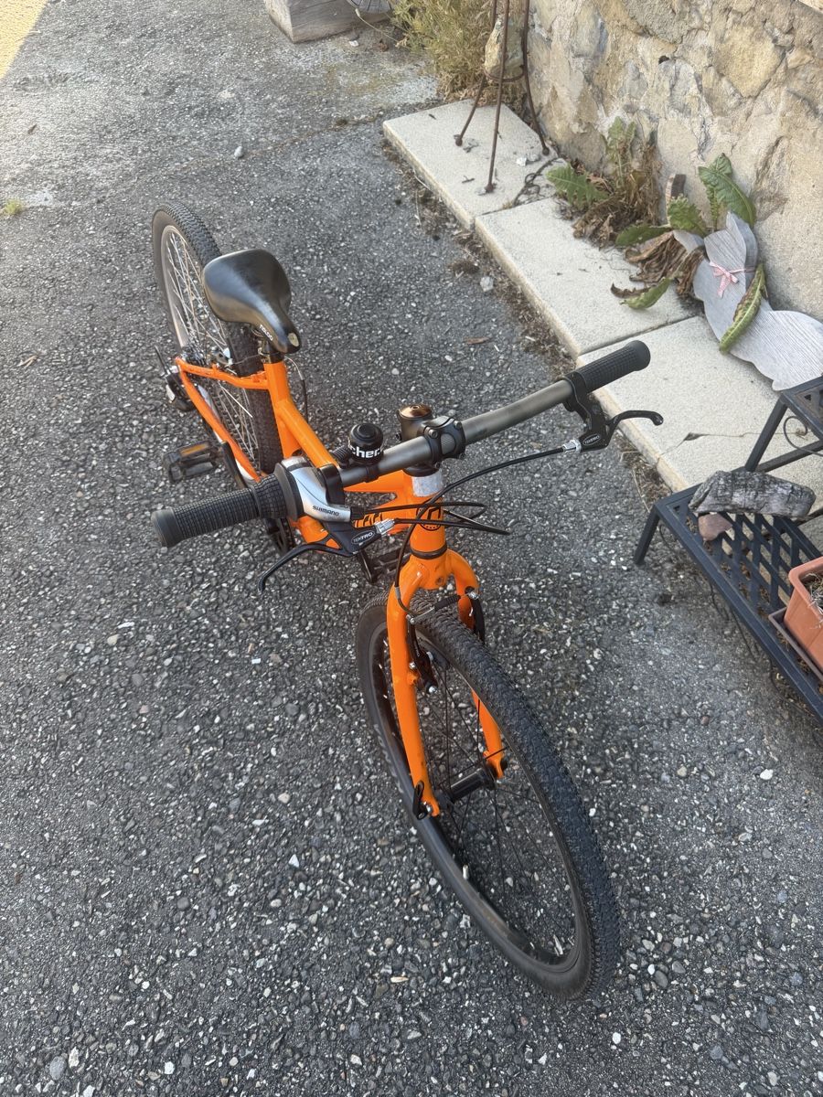 Naloo Biciclette: Naloo Chameleon 24 Zoll – Usato da stallikon venduto da Guetze1990 1