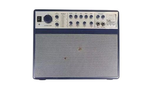Amplificatori: E-Gitarrenverstärker AXL D10 Thinamp – Nuovo e nell'imballaggio originale da Köniz venduto da oneswiss 1