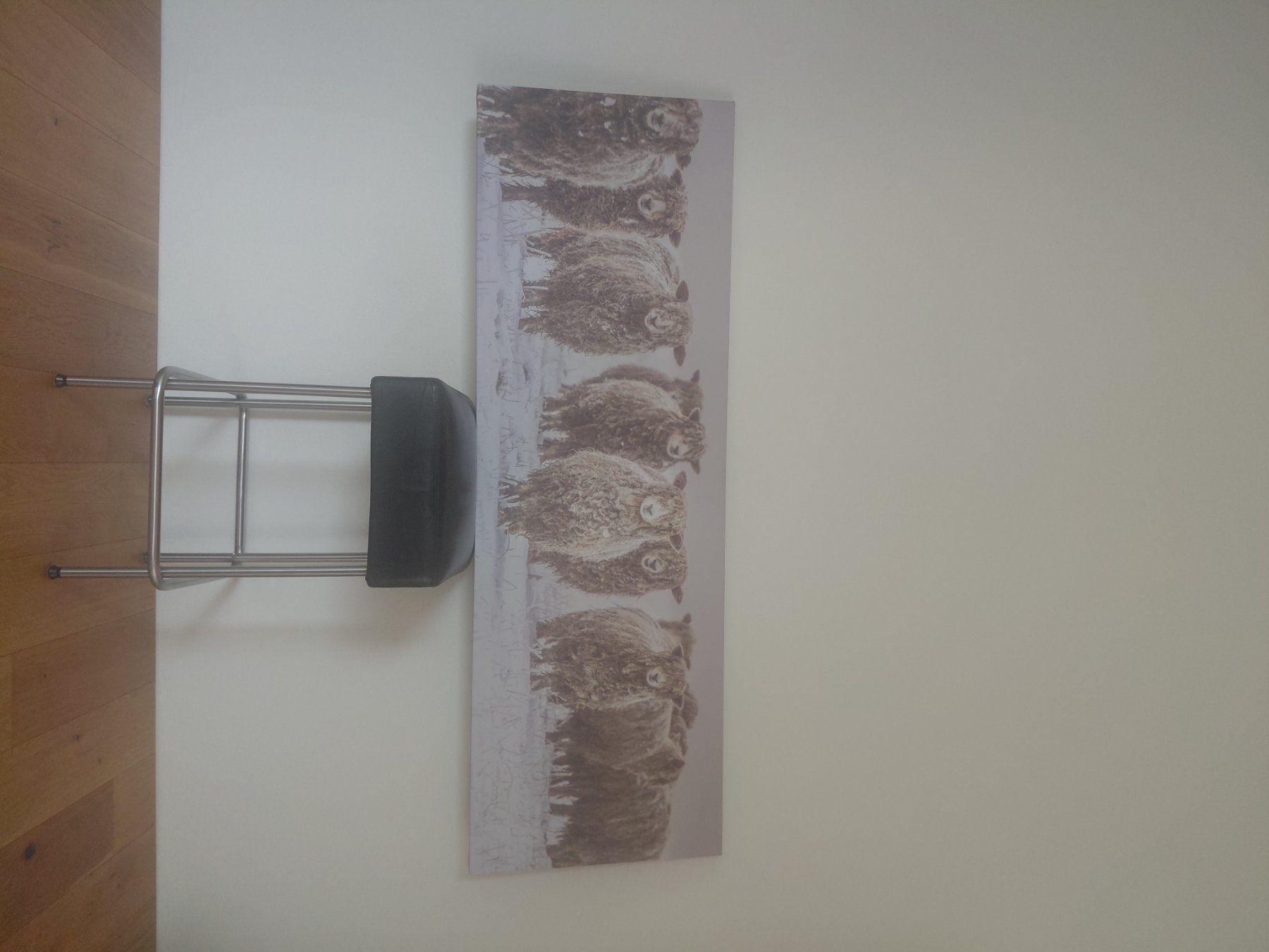 Poster & Bilder: Leinwand Druck einer Schafherde im Winter – Gebraucht aus Ebnet von Flaetsch 1