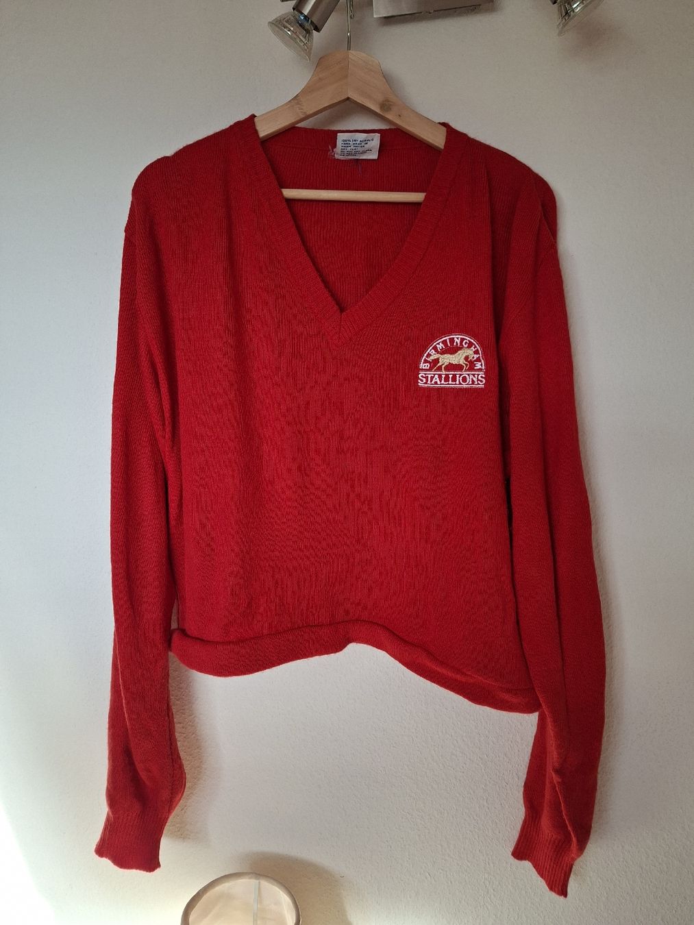 Champion Pulls & Sweat-shirts: Pull Champion vintage - Taille L – D'occasion à Lausanne par Super-cerise 1