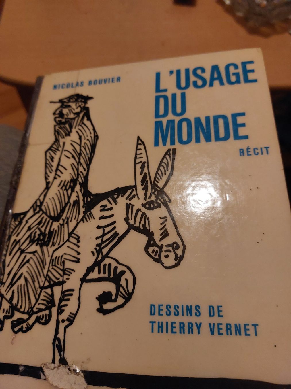 Libri: L'USAGE du MONDE – Usato da Genève venduto da macadam
