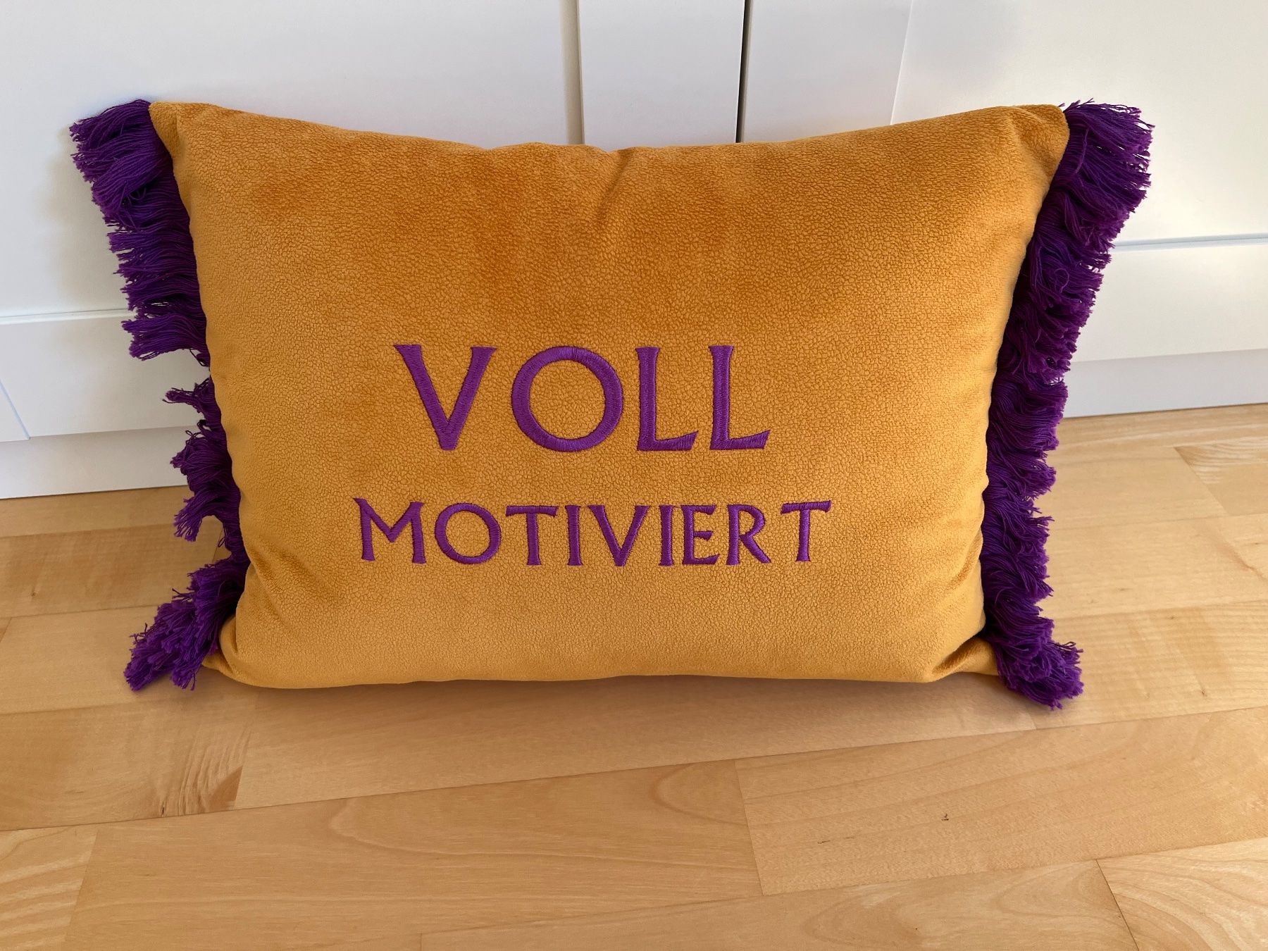 Cuscini: Dekoratives Wendekissen null bock vs voll motiviert – Usato da St. Gallen venduto da Flo_sv8c