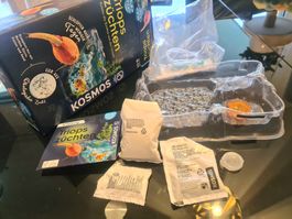Kosmos Triops Urzeitkrebs züchten neuwertig komplett