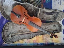Violine Geige 