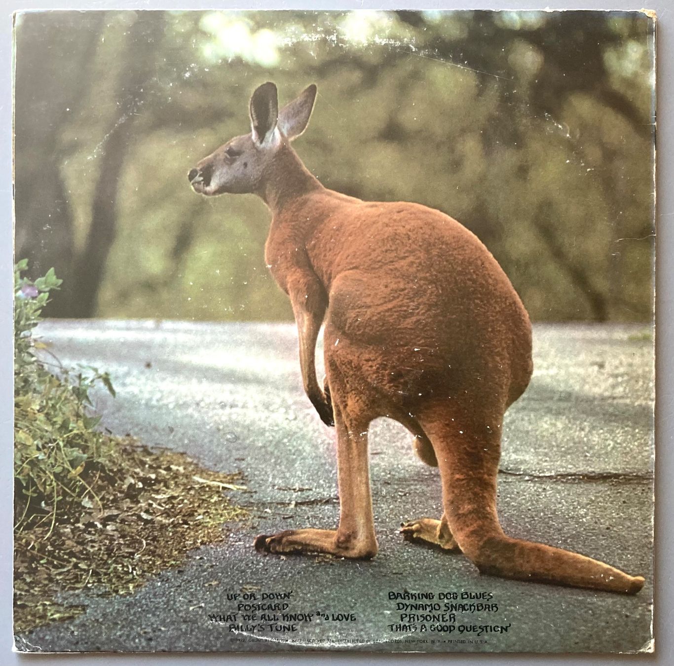 Dischi in vinile: JEFFERSON AIRPLANE - PETER KAUKONEN - BLACK KANGAROO – Usato da Poliez-Pittet venduto da Newtown-Records 1