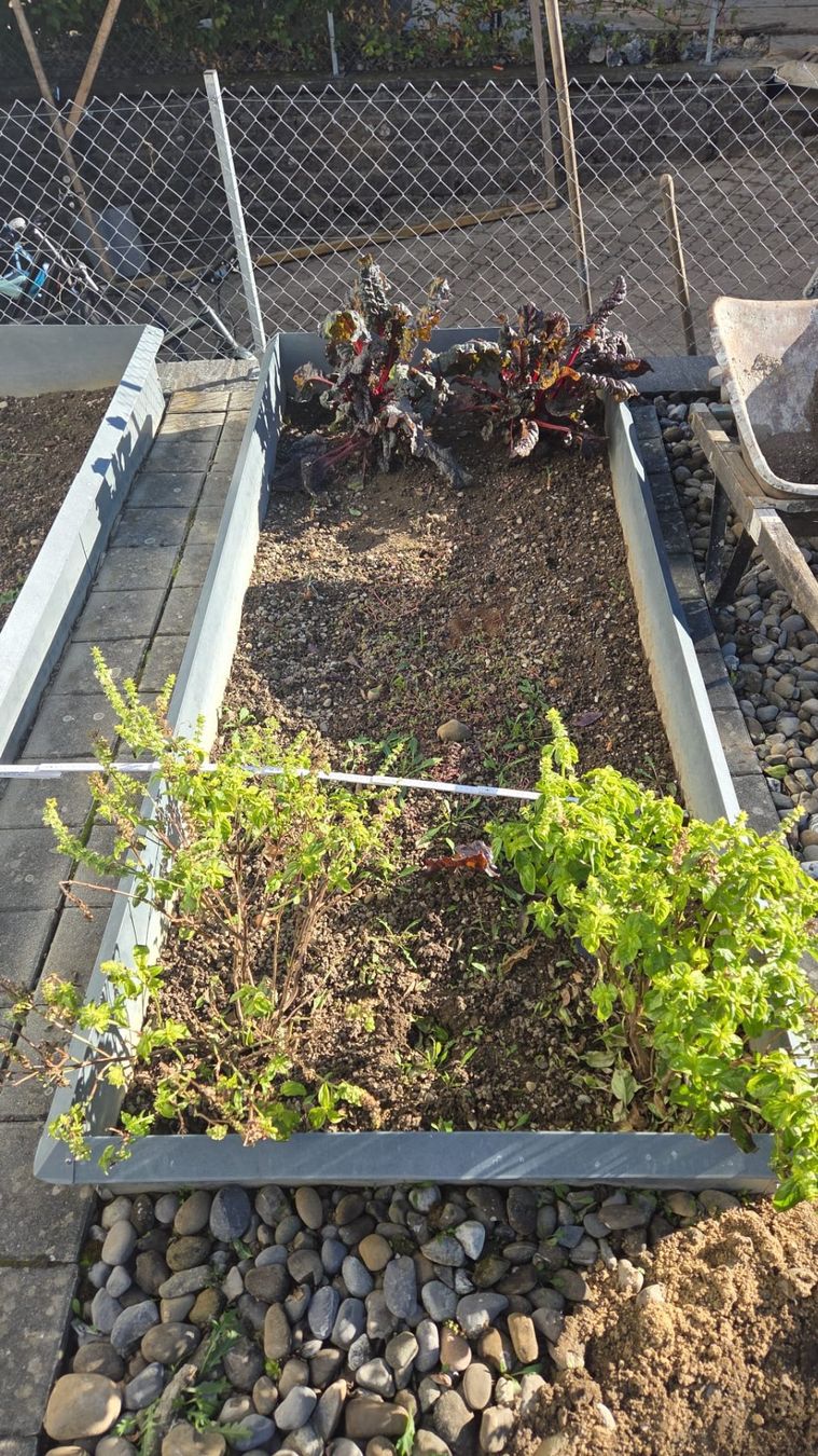 Recinzioni: Schneckenzaun – Usato da Suhr venduto da fee74 4