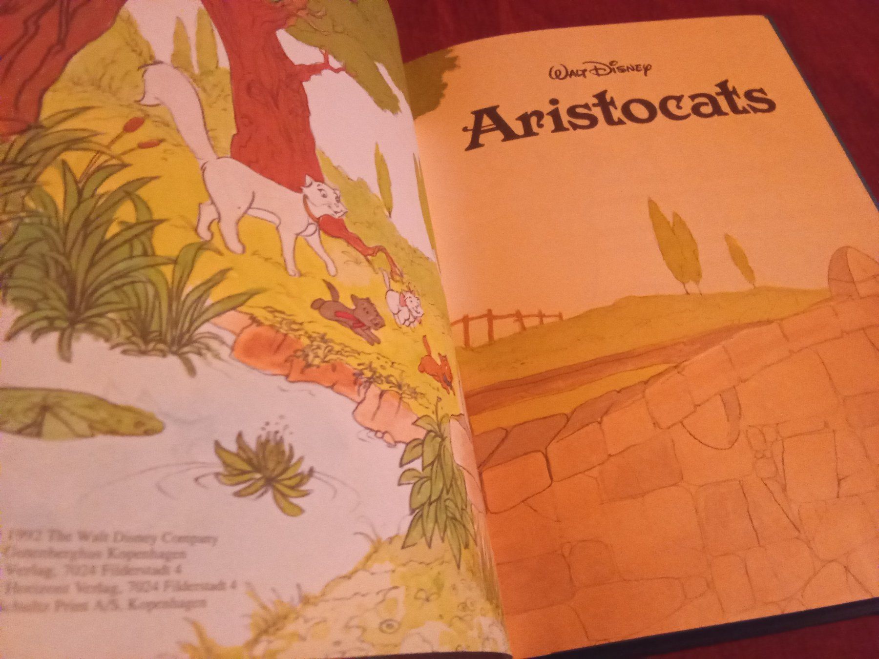 Libri: Aristocats Disney Buch – Usato da Remetschwil venduto da Privatflohmi 2