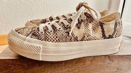 Converse ALL*STAR Sneaker,  Gr. 38 (5), NEU, NP CHF 105.-