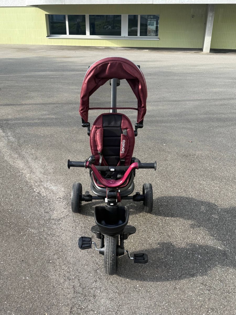 Lionelo Veicoli per bambini: Dreirad Kinderfahrrad – Usato da Rorschach venduto da kop_vg5y 3