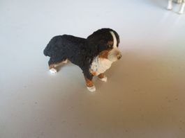 Hund