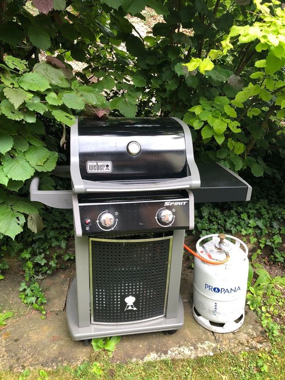 Weber Gasgrill Kaufen auf Ricardo