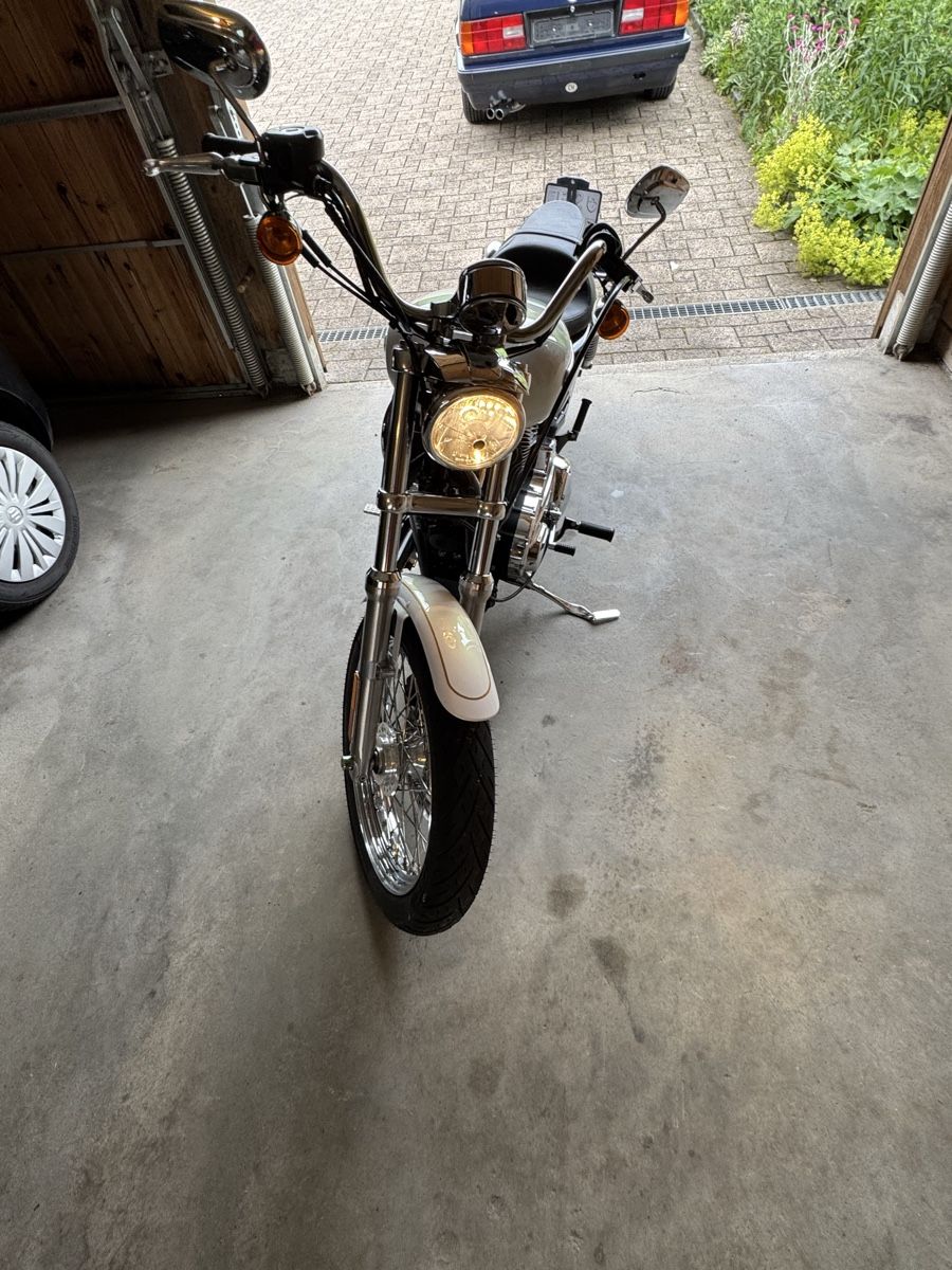 Chopper: Harley Davidson – Usato da Nesslau venduto da cwaege 6