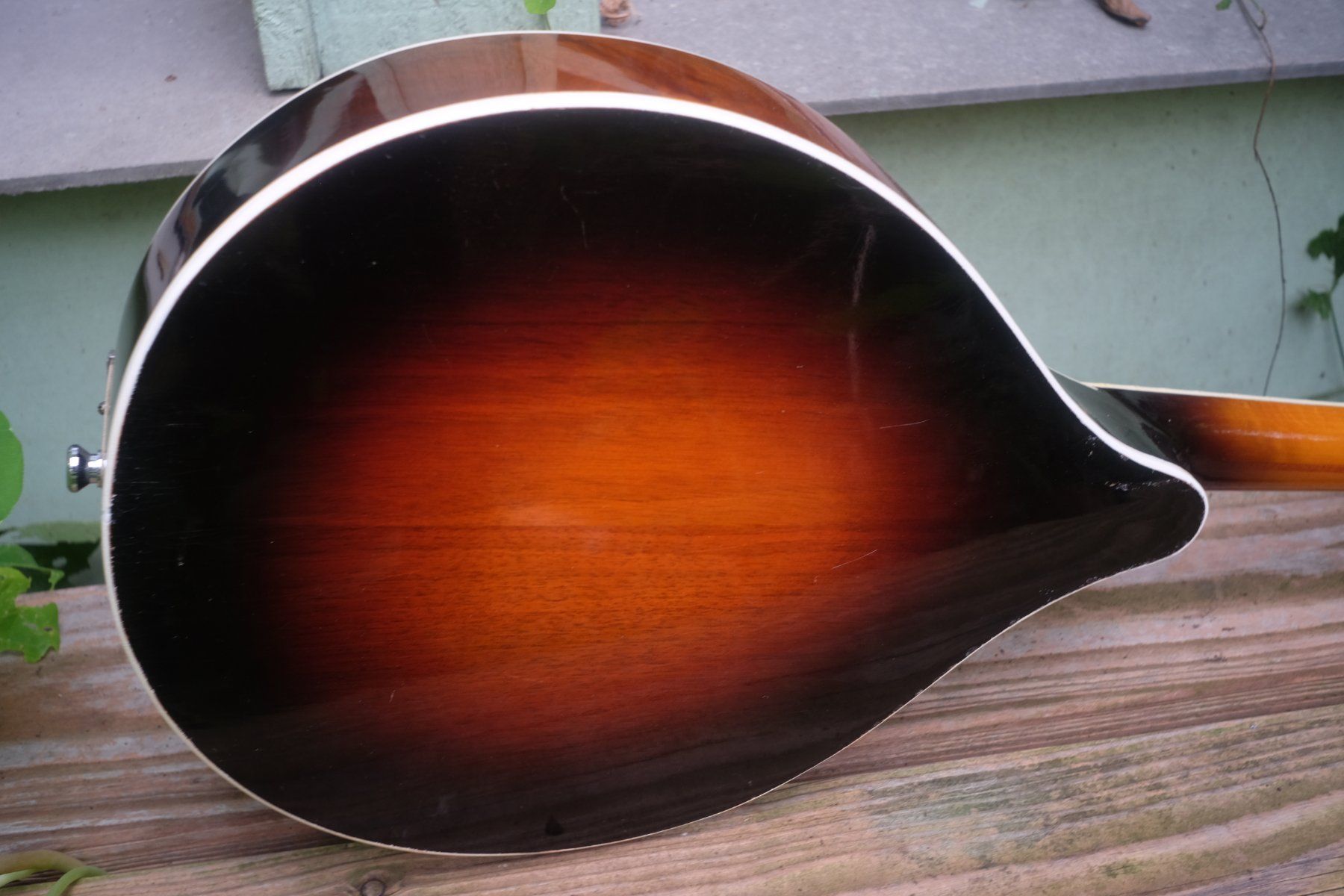 Strumenti musicali: Levin Mandoline 1945 – Usato da Winterthur venduto da hermanadam 4