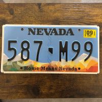 🇺🇸 U.S. Autoschild - Nevada 587-M99 - ORIGINAL