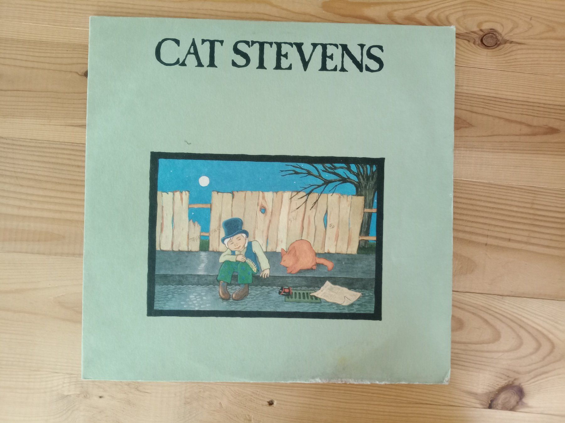 Dischi in vinile: Cat Stevens - Teaser and the Firecat, LP, TOP – Usato da Waldenburg venduto da STICKER_KING