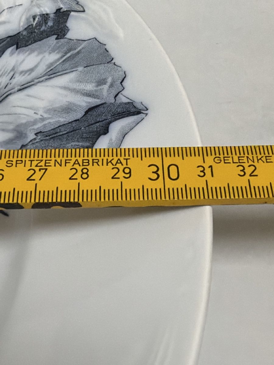 Villeroy & Boch Piatti: Villeroy und Boch, grosser Teller, Iris. – Usato da Biberist venduto da Momo33 8