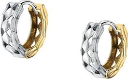 Damen-Ohrstecker 585er Gelbgold