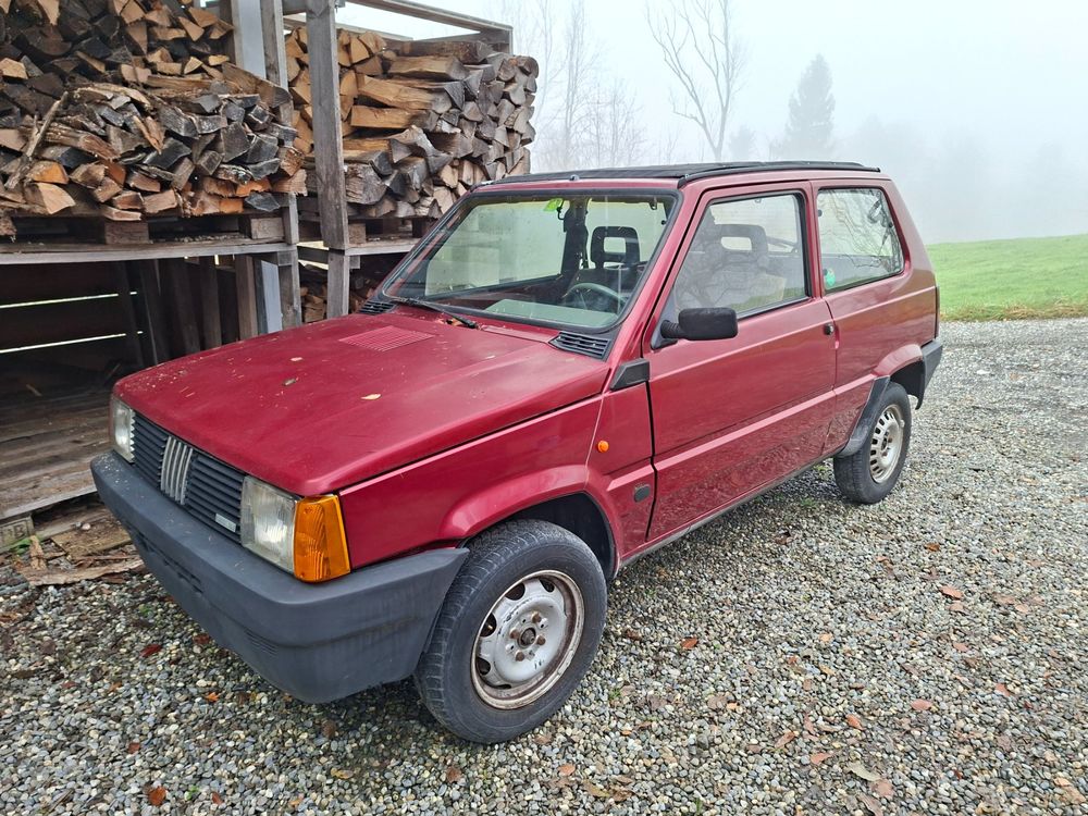 Fiat Panda Motorlnull