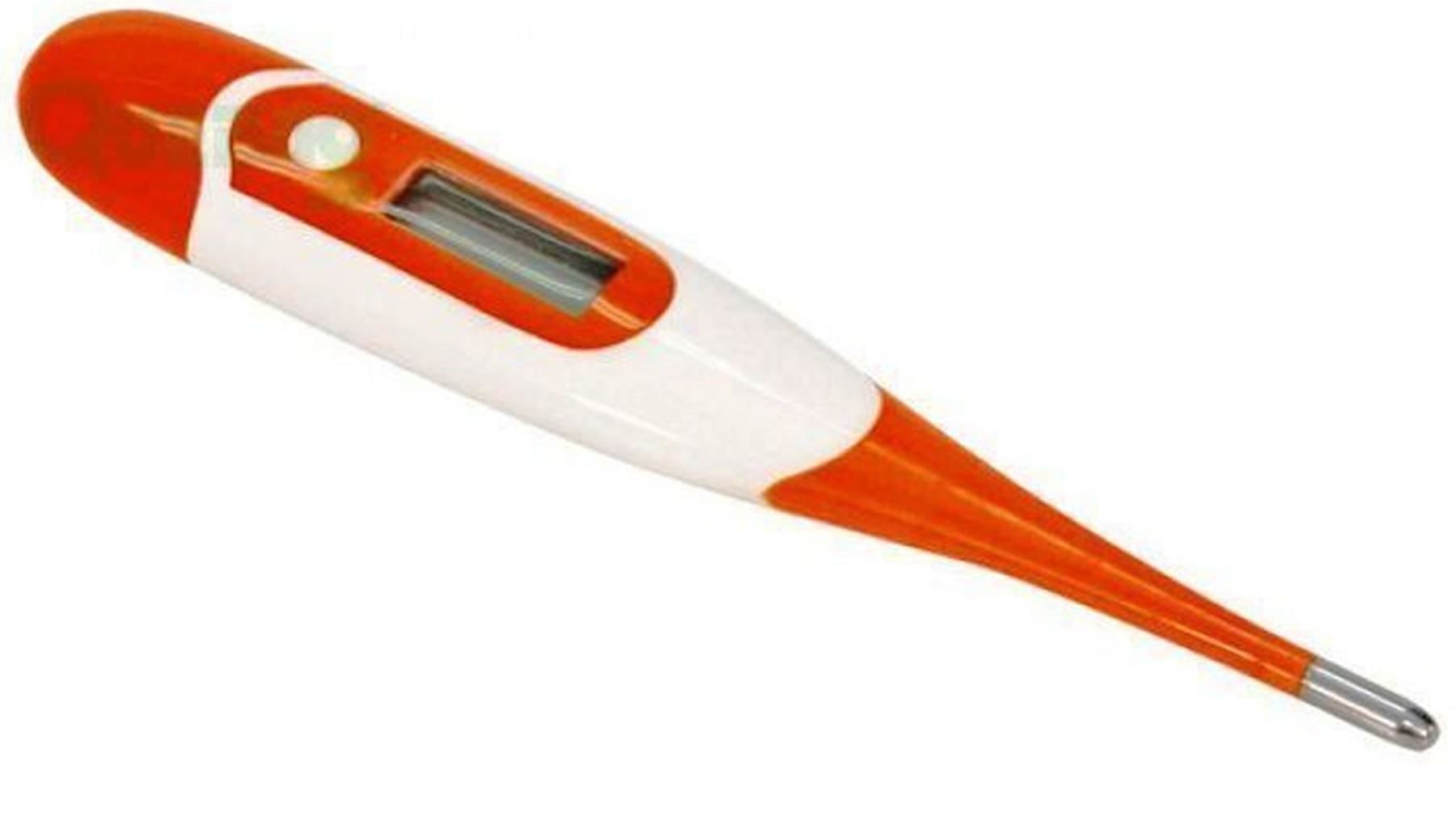 Altro per la casa: Fieberthermometer mit flexibler Sonde – Nuovo e nell'imballaggio originale da St. Gallen venduto da schnaeppchen-preise