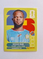 Panini Meschack Elia COD 15