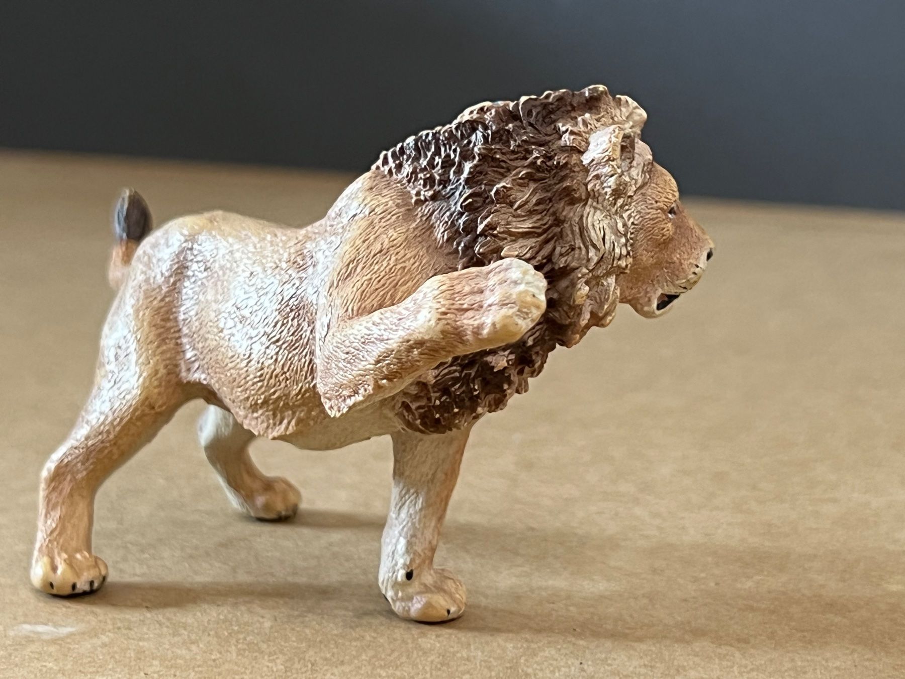 Schleich Statuette: Schleich 14374 Junglöwe Löwe – Nuovo (secondo la descrizione) da Ennetbaden venduto da mapa05 4