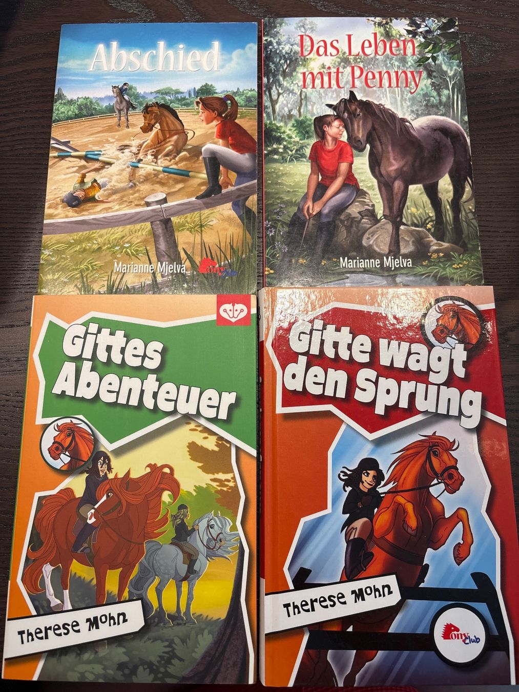 Livres: Diverse Pferdebücher – Neuf (Voir description) à Wald ZH par evelyne.street 3