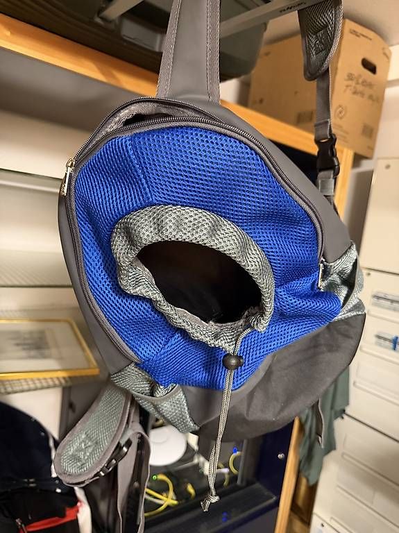 Zaini: Klein Hund Transport Rucksack – Usato da Horgen venduto da Jaromir6 1