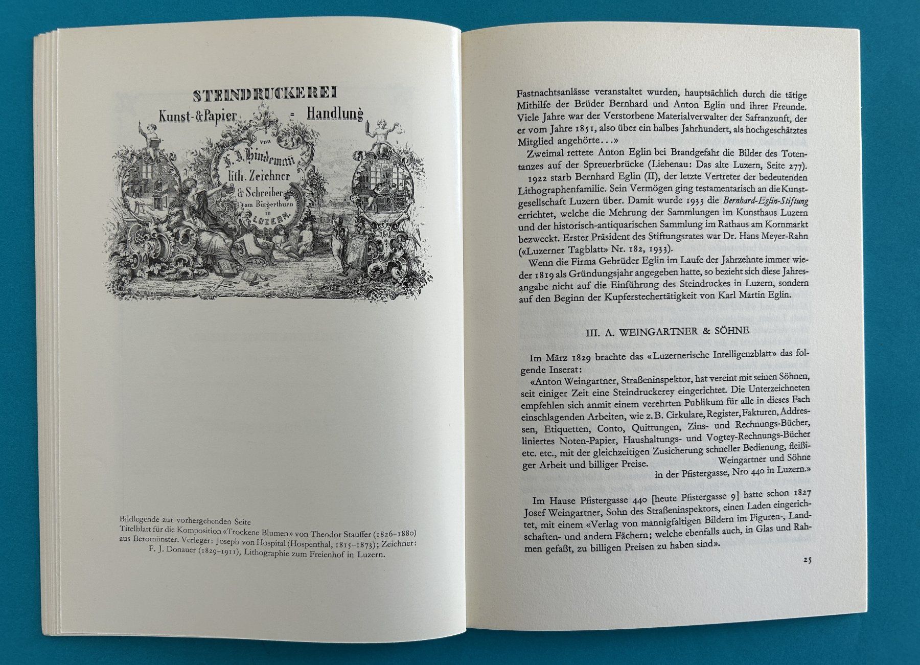Libri: LUZERNER LITHOGRAPHEN des 19. JH. – Usato da Zürich venduto da Domus09 8
