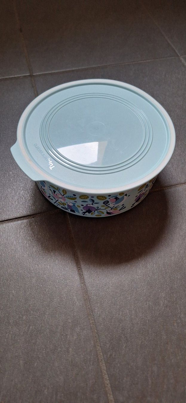 Tupperware Contenitori & Simili: Tupperware, Optimum oiseaux 1.5l – Nuovo e nell'imballaggio originale da Lussery-Villars venduto da pousinete02