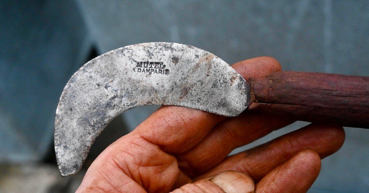 Tutti gli attrezzi: ANTIKE Handsichel Länge ca. 19cm - MUTEL À DAMPARIS – Usato da Pfaffhausen venduto da mono_rec 4