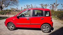 Fiat Panda 1.2  Zuverlässiger Stadtflitzer