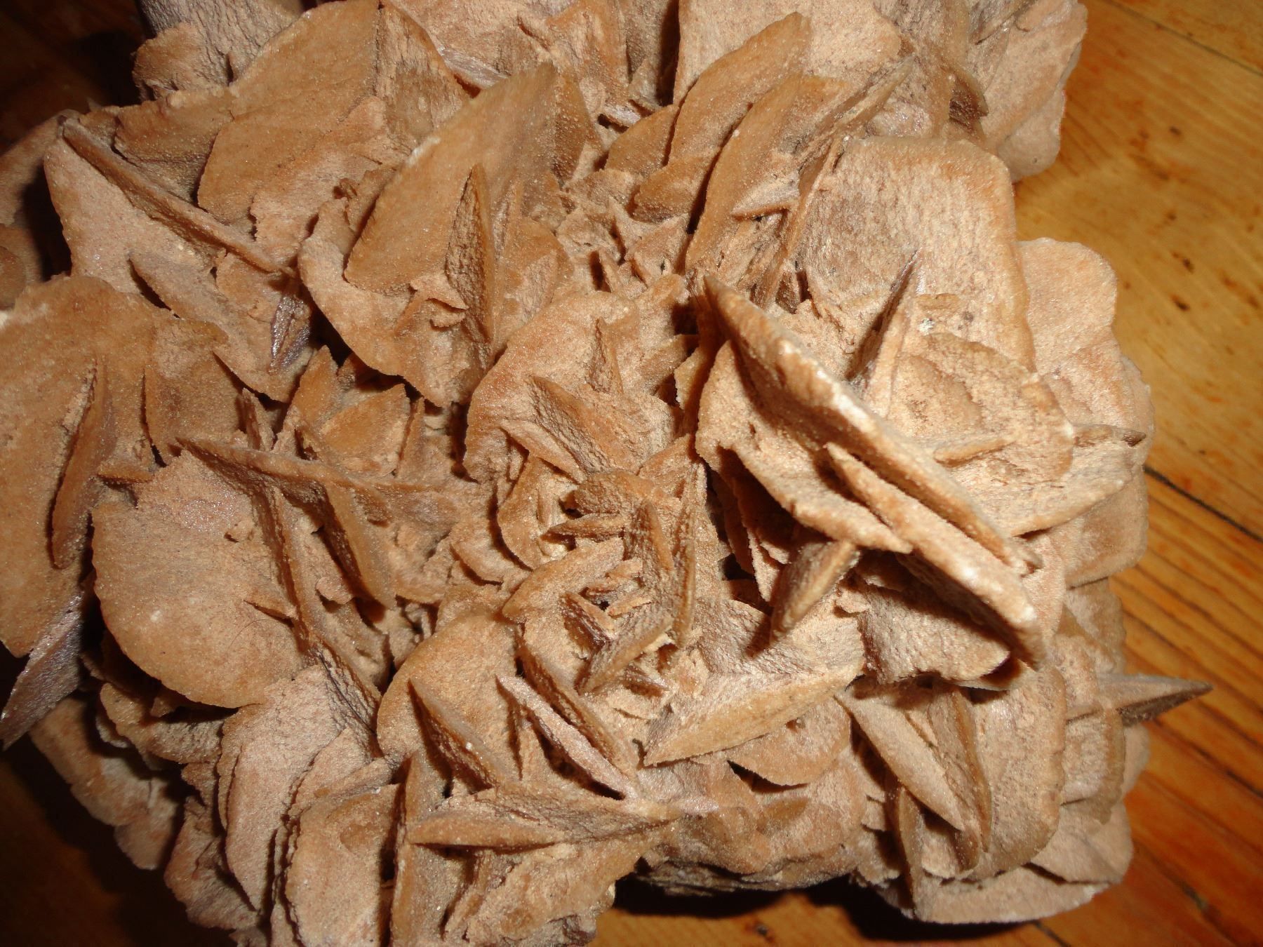 Steine & Dachziegeln: Sandrose / Wüstenrose grosse Stufe – Neu (gemäss Beschreibung) aus Biberist von Steine 1