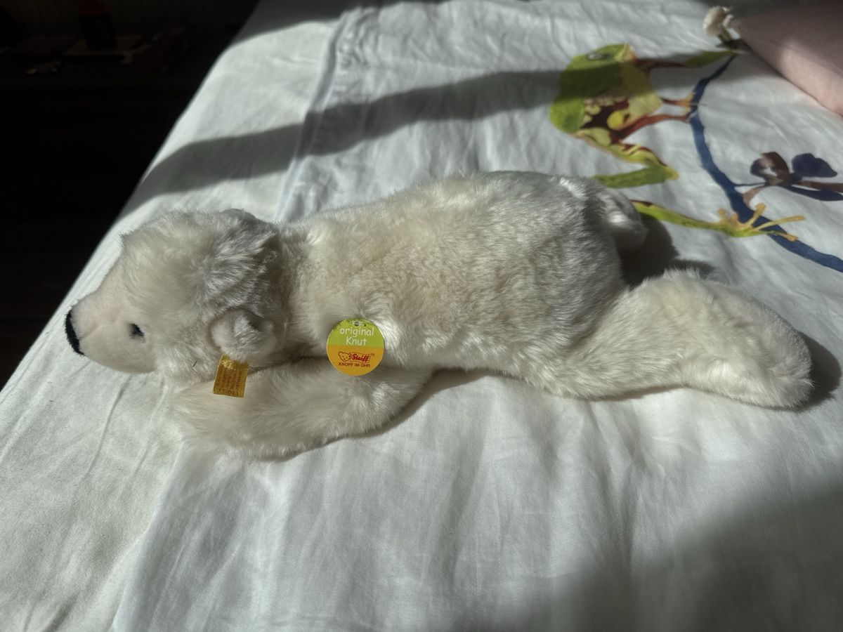 Steiff Spielzeuge: Steiff eisbär knut – Gebraucht aus Zürich von funkelnderstern