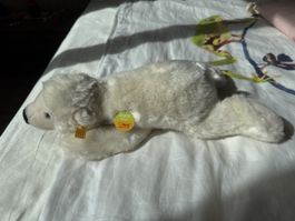 Steiff eisbär knut