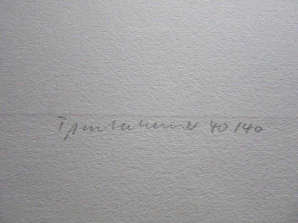 Grafica & Litografie: Jürgen PARTENHEIMER LITHOGRAPHIESIGNIERT NUMMERIERT – Usato da Gersau venduto da grafik-kunst 3